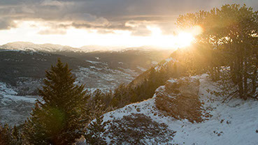 elk hunting, mule deer hunting, elk hunt wyoming, deer hunt wyoming, hunt wyoming private ranches, trophy mule deer, trophy elk, guided hunt wyo